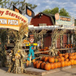 Fall products. Pumpkins.