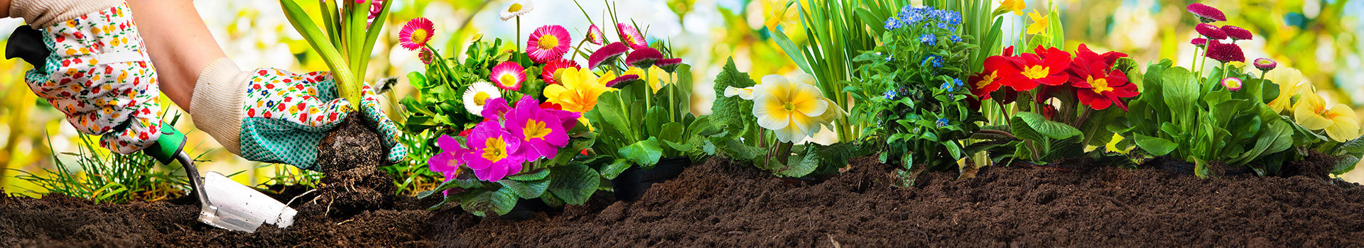 Landscape supply yard aerial view