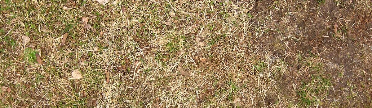 Landscape supply yard aerial view