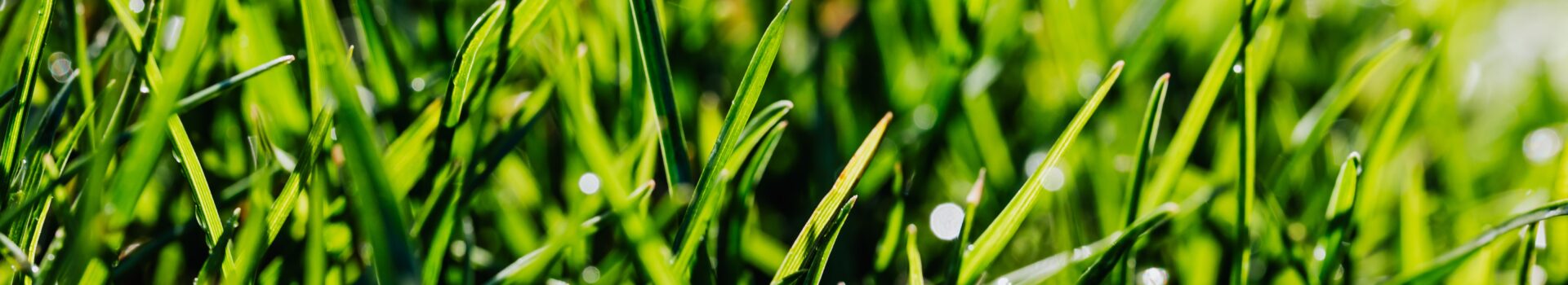 Landscape supply yard aerial view