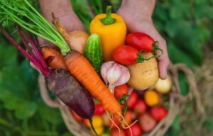 garden vegetables