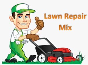 lawn repair mix